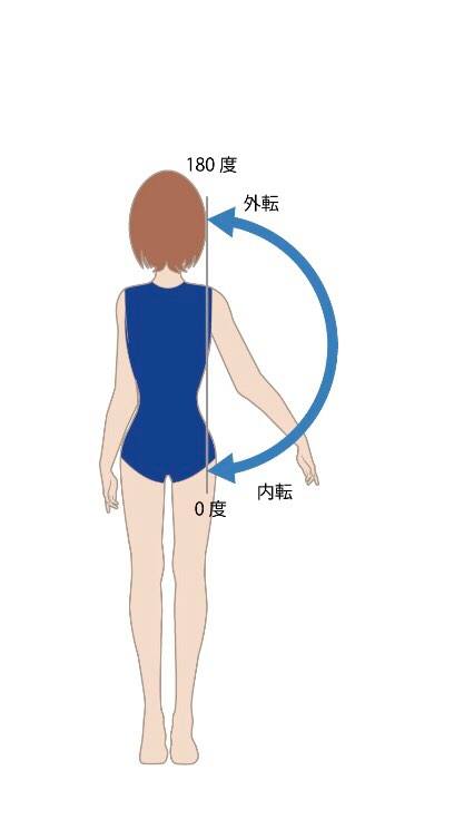 肩の外転内転