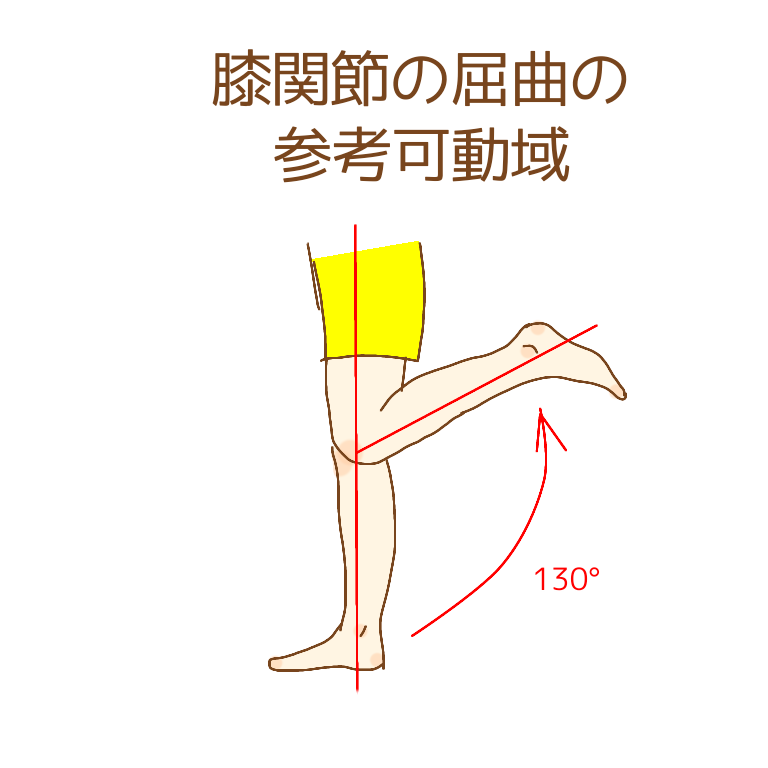 膝関節の屈曲の参考可動域